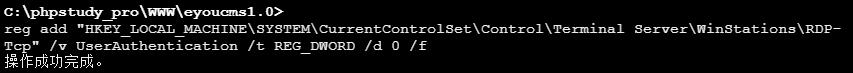 image-20250302110101538