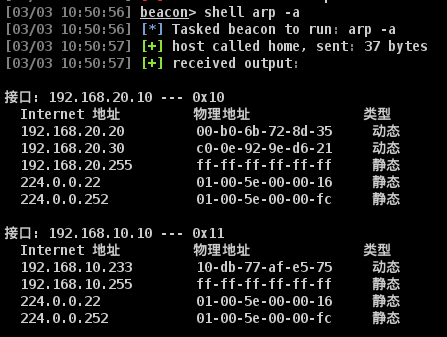 image-20250303105119541