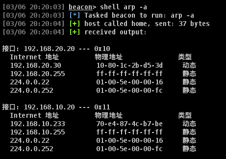 image-20250306202043364