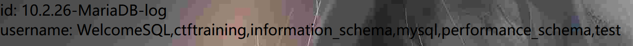 image-20250221181200747
